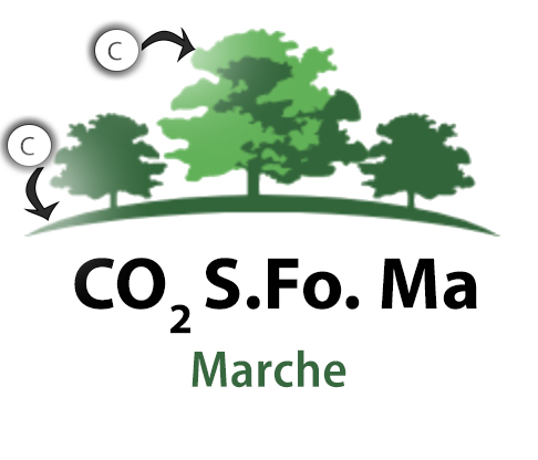 Co2 Marche